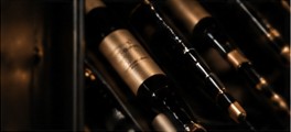 Wine bottles in a cellar
